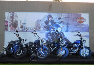 Harley-Davidson Motorcycles On Display