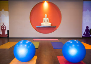 Aerobic Studio / Yoga Centre